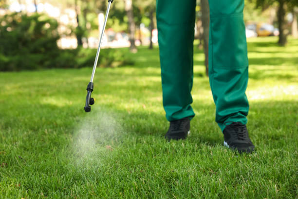 Trusted Poteet, TX Pest Control Experts