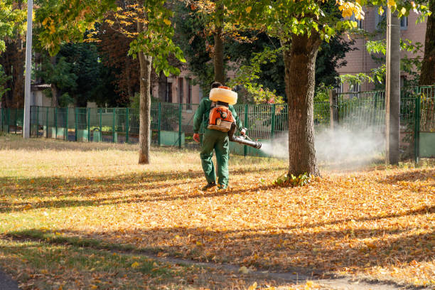 Best Bed Bug Extermination  in Poteet, TX