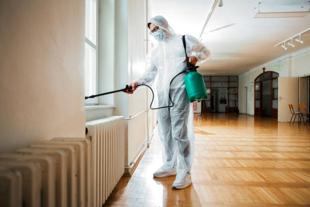 Best Mosquito Control Services  in Poteet, TX
