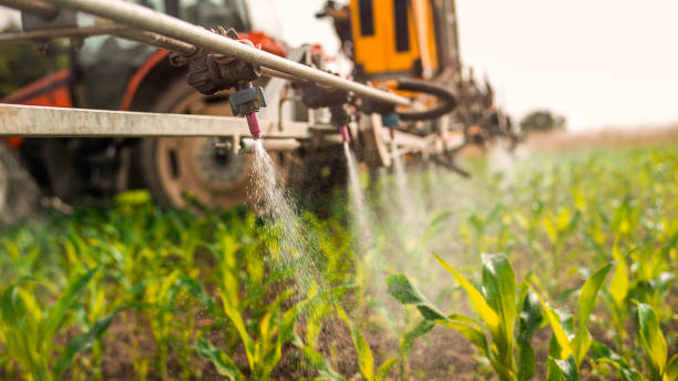 Pest Prevention Services in Poteet, TX