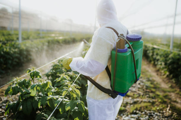 Best Cockroach Control Services  in Poteet, TX